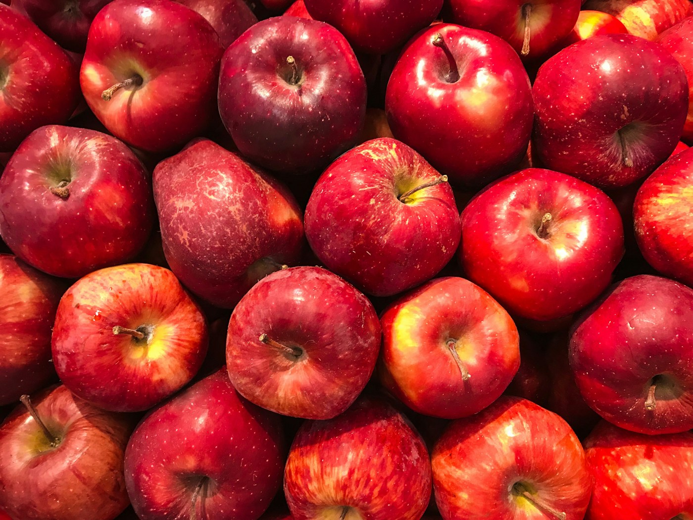 A harvest of red and golden apples